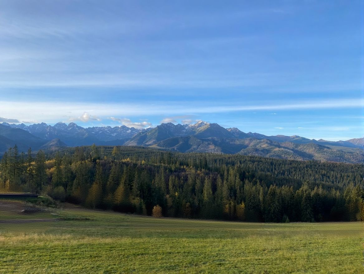 Horyzont górski ze szczytami pokrytymi śniegiem, las i łąka
